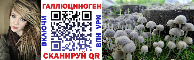Псилоцибиновые грибы GOLDEN TEACHER  купить наркотики сайты  Струнино 